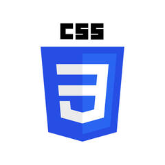 CSS Logo